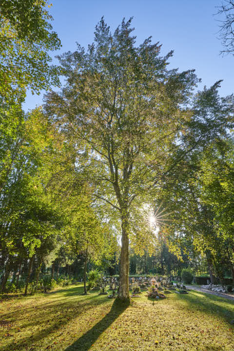 Gemeinde Mühldorf_am_Inn Landkreis Mühldorf Ecksberg Friedhof (Dirschl Johann) Deutschland MÜ